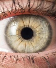 L'ART NATUREL Praxis für manuelle Therapien, Naturheilkunde & Alternativmedizin Bild 6