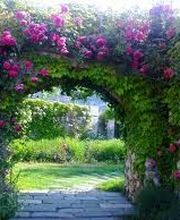 Aveyron Vallon Service image 3