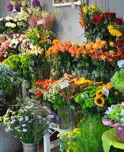 Blatt & Blüte | natürlich kreativ Bild 5