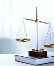 saanenotare - Matthias Brunner Bild 2