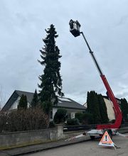 Grünlandpflege M.O Bild 11