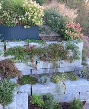 Vogel Gartenbau AG Bild 7