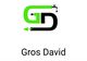 Gros David