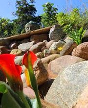 Große Wilde Betten Bild 11