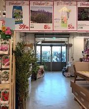 Bricorama Le Plessis Robinson image 7