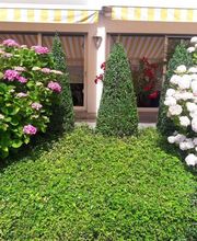 Gärtnerei B. Ryffel