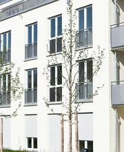 Hausverwaltung Kesy Bild 1