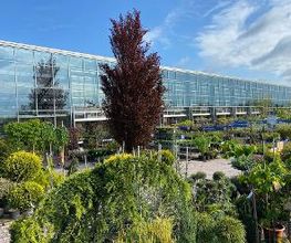 Intratuin Heerhugowaard B.V. afbeelding 2