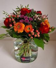 Floria Blumen Bild 5