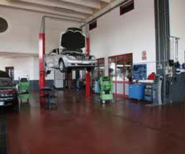 Gallery Cliente