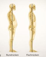 Gesund Balance Biondi Bild 6