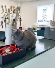 Katzen-Praxis.ch Bild 13