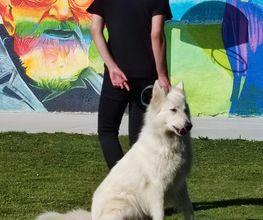 Educ Love Dog image 1