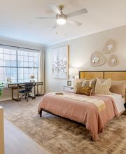 The Delano at North Richland Hills Apartments image 5