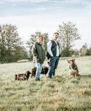 TEAMH Hundeschule Schömberg Bild 14