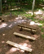 FriedWald Ohetal Bild 3