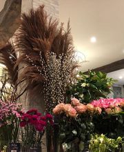 Blumenhaus Knagge Bild 2