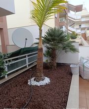 Leyma Servicios imagen 10