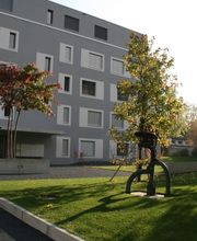 Schneider AG Gartenbau-Architektur Bild 1