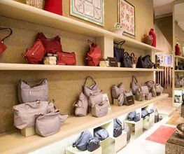 Gallery Professionale