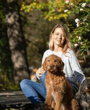 HUNDverständlich Bild 1