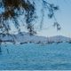 Mallorca North Villas, Houses & Apartments Alquiler Inmobiliaria Mallorca