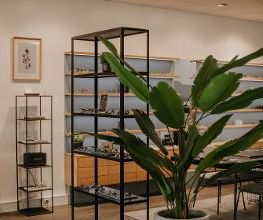 Morand Opticiens Bild 20