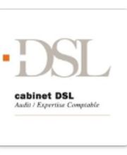 D.S.L image 1