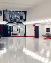 Gallery Cliente