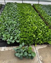 Les Jardins Du Champsaur image 7