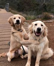 Rockhill Pet Clinic image 8