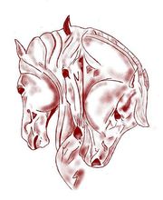 Ecurie des Reflets EARL image 2