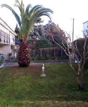 Multi Services Occitanie image 9