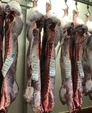 Pinsos Cortada imagen 15