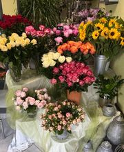 Blumengeschäft Efeulaube Bild 3