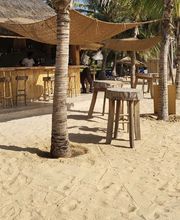 Wild Dodo Sàrl Bild 4