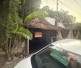 Palms Away Jungalows, LLC imagen 7