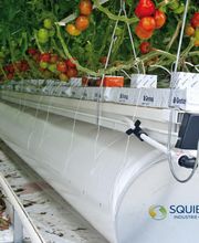 Lusseau-Squiban image 3