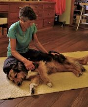 Tierarztpraxis rundumXund Bild 6