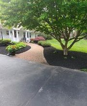 Fiorella Lawn & Landscaping image 14