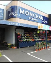 Parce que c'est toi image 3