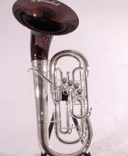 Robert Worischek Bild 4