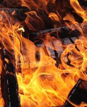 Leñas Julio imagen 8