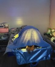 Happy Minceur image 12