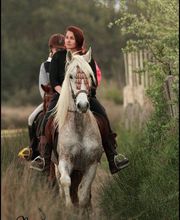 MAS DE L'ESPIGUETTE image 4