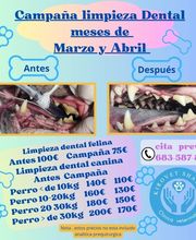232167692-1-3SWpSiCMN21709656910618.jpeg