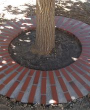 Godinneau Frédéric image 6