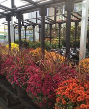 Tractor Supply Co. image 2