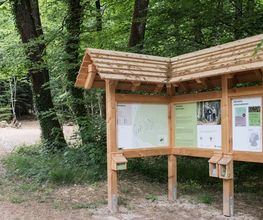 FriedWald Rümmingen Bild 8