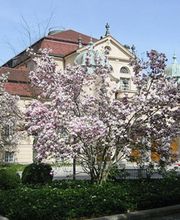 Kober Immobilien Bild 1